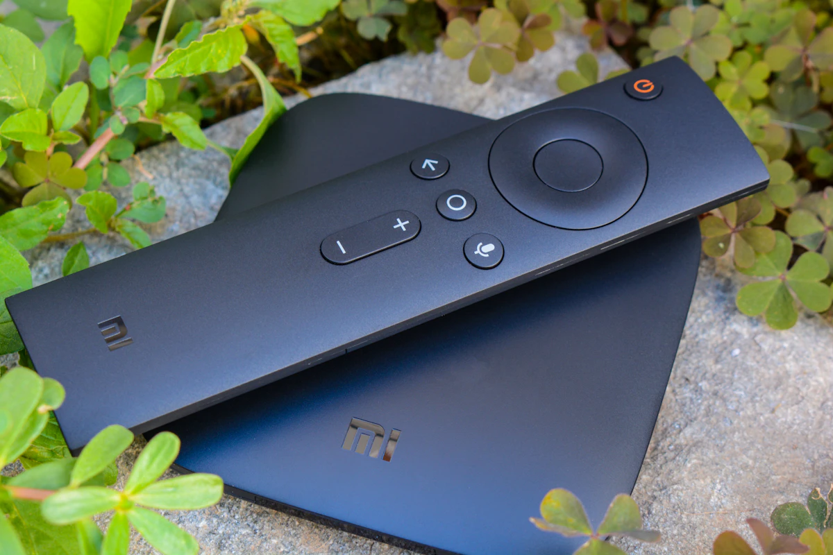 Box de televisão Android preta com o comando ao lado, pousada numa pedra entre plantas