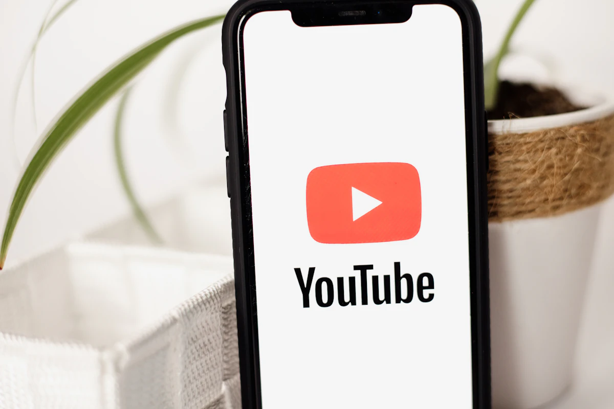 Telemóvel com o logótipo do YouTube no ecrã, encostado a um vaso com uma planta